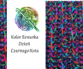 dzień czarnego kota.png