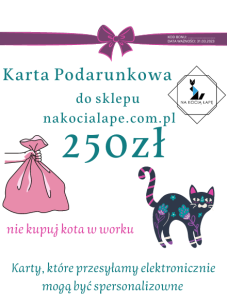 BON PODARUNKOWY  250zł